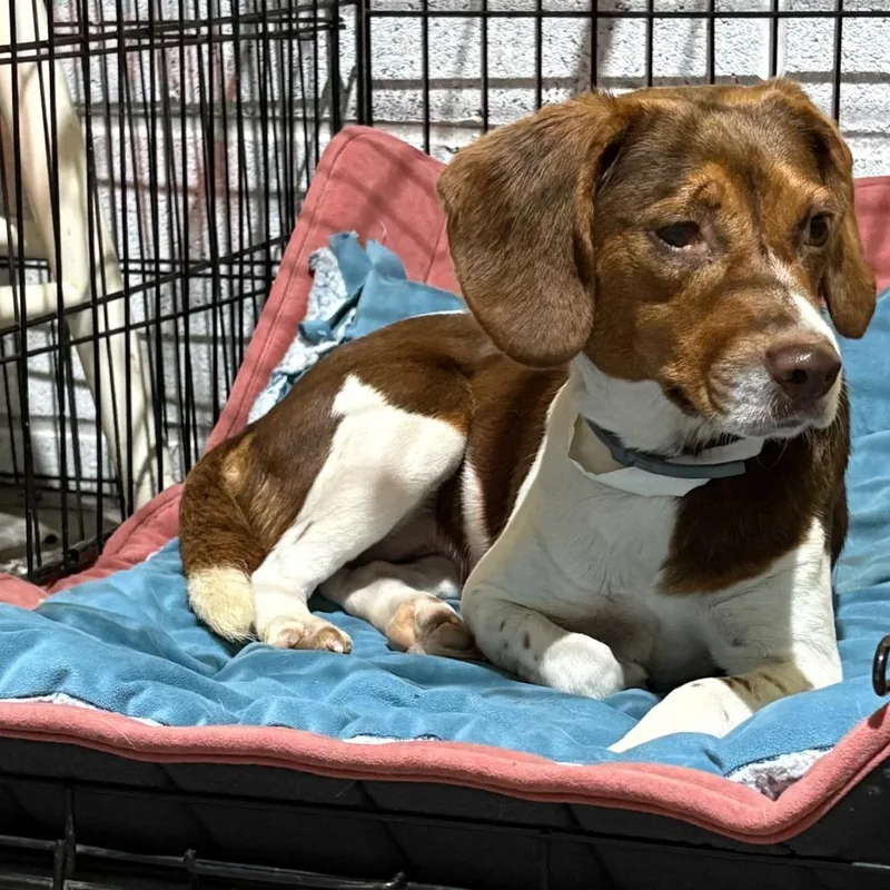 Nora  Fee Sponsored thumbnail 4