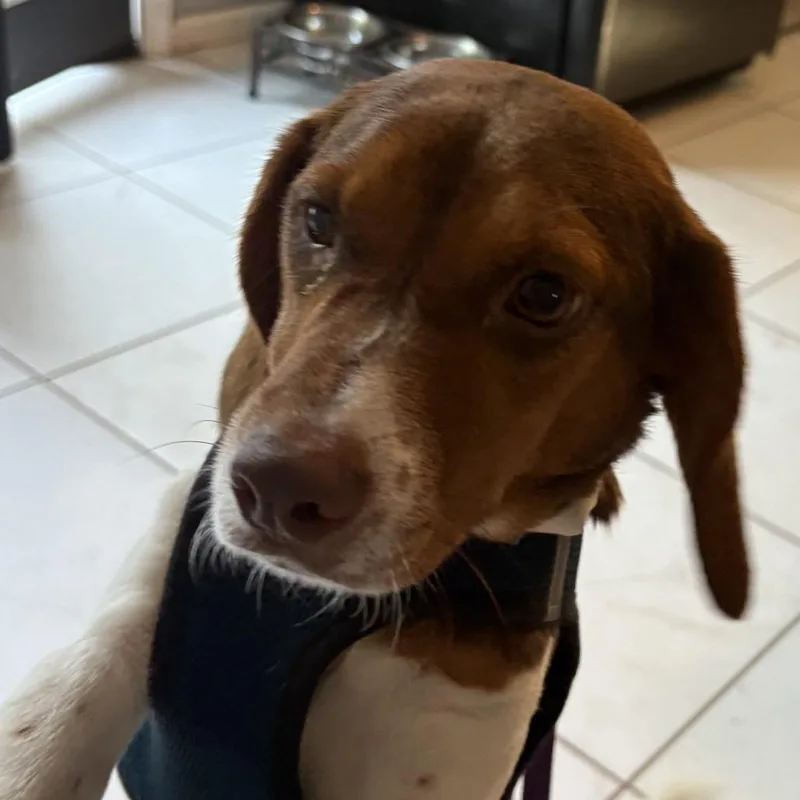 Nora  Fee Sponsored thumbnail 5