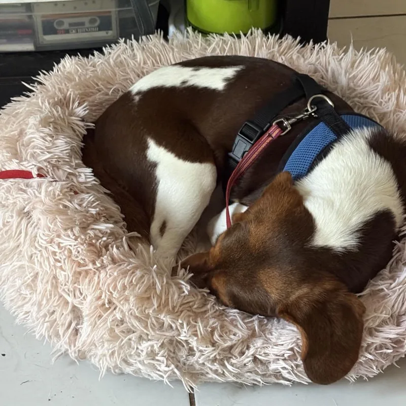 Nora  Fee Sponsored thumbnail 6