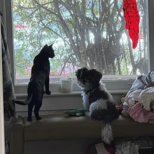 Malibu Delgado thumbnail 2