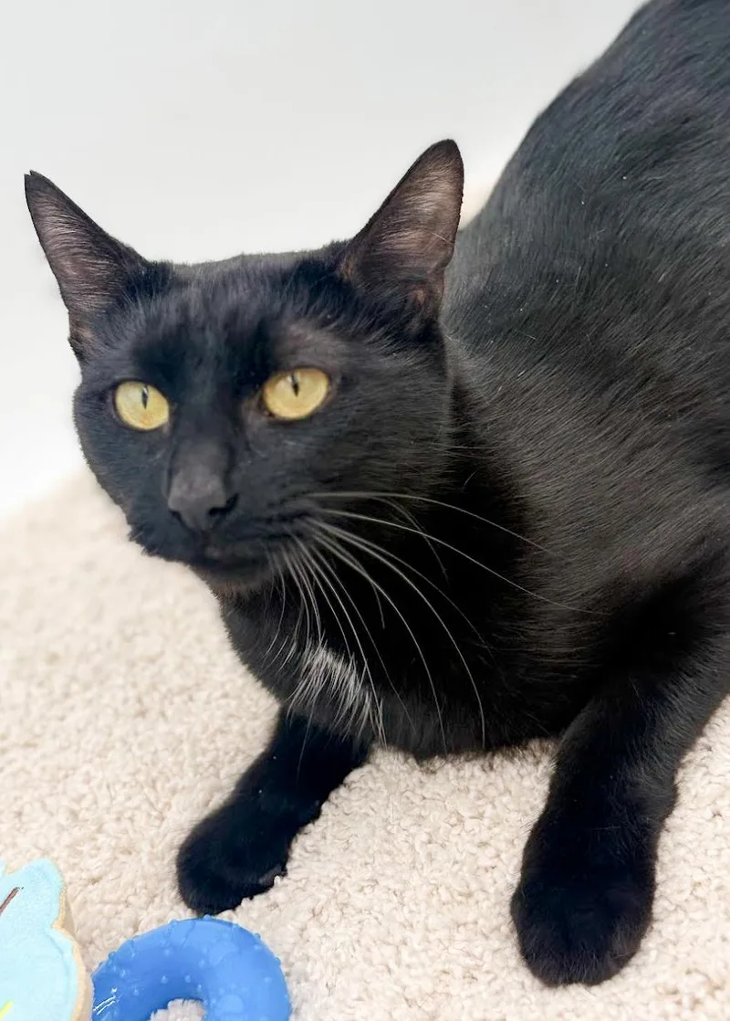 Gemma Is A Real thumbnail 3