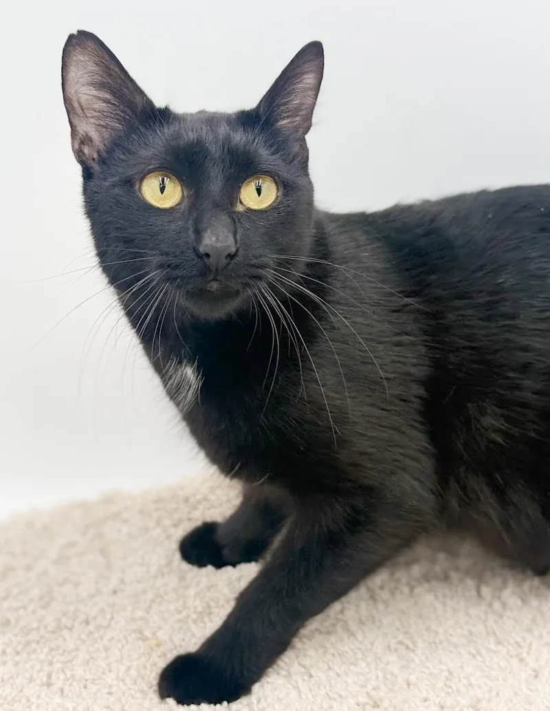 Gemma Is A Real thumbnail 4