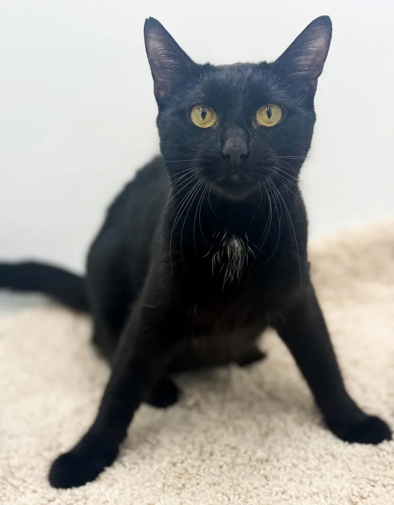 Gemma Is A Real thumbnail 5