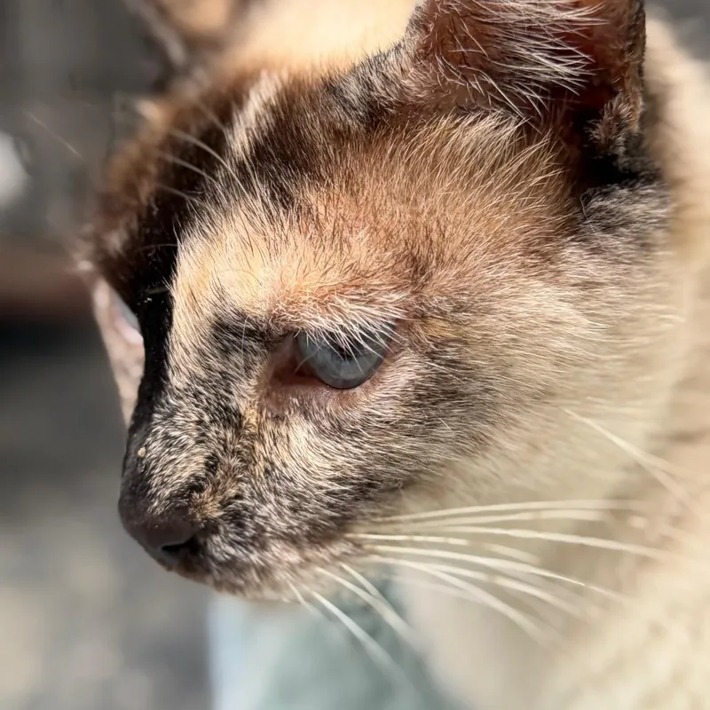 Margie thumbnail 3