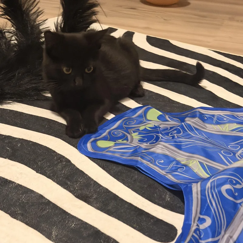 Salem thumbnail 3