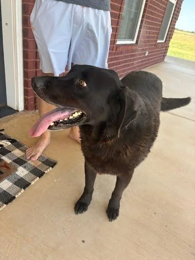 Bubba