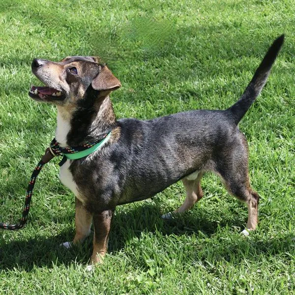 Lightning Mcqueen thumbnail 2