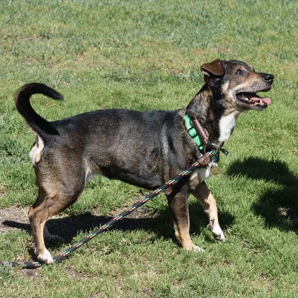 Lightning Mcqueen thumbnail 4