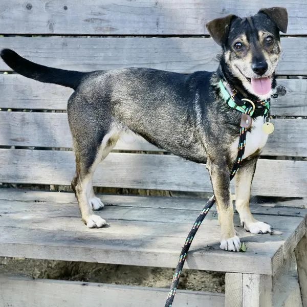 Lightning Mcqueen thumbnail 5