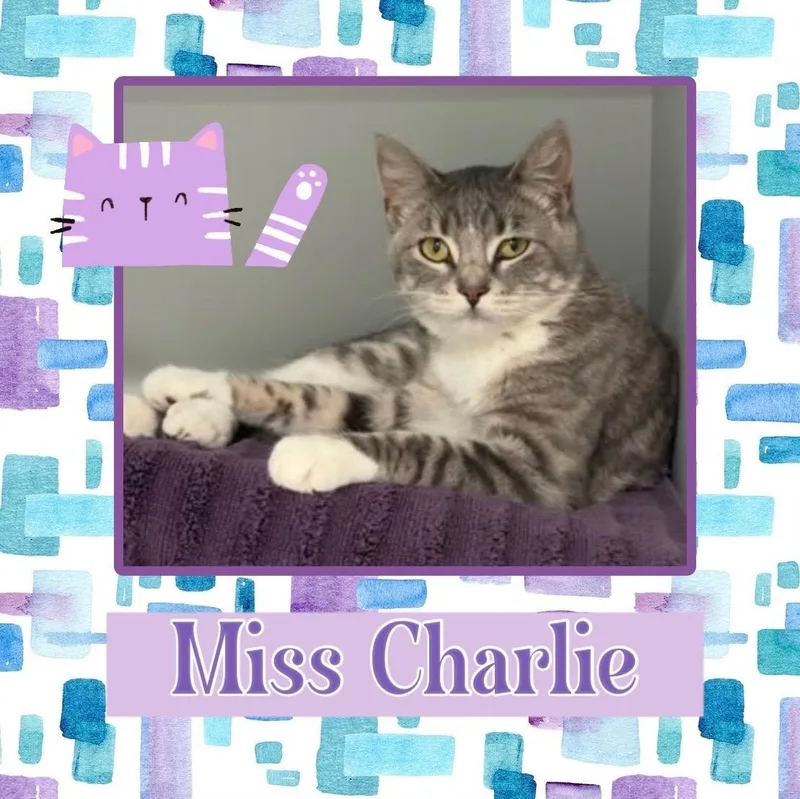 Charlie