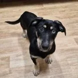 Marlee thumbnail 2