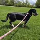 Marlee thumbnail 3