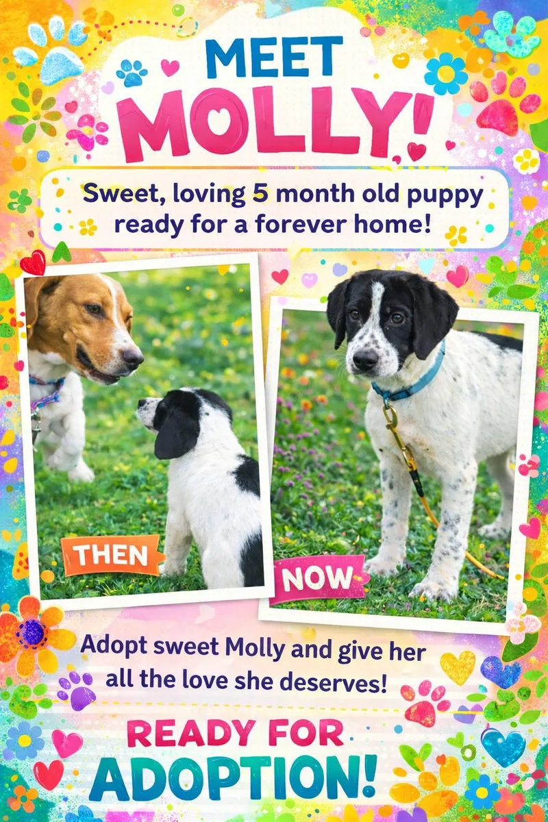 Molly thumbnail 2