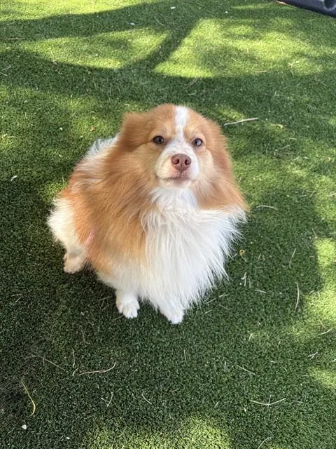Ted