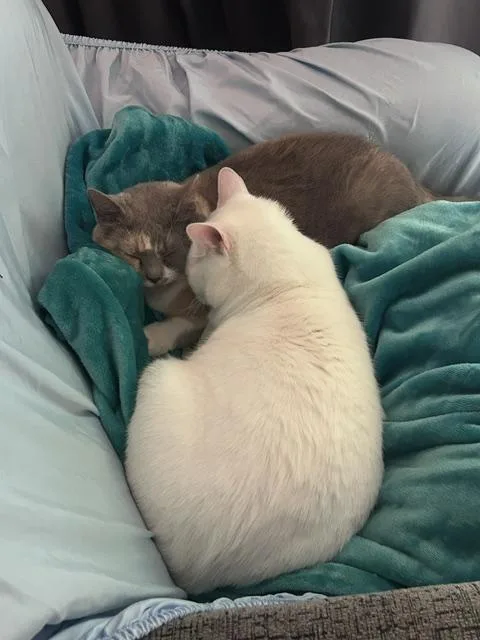 Dottie & Ozzie thumbnail 5