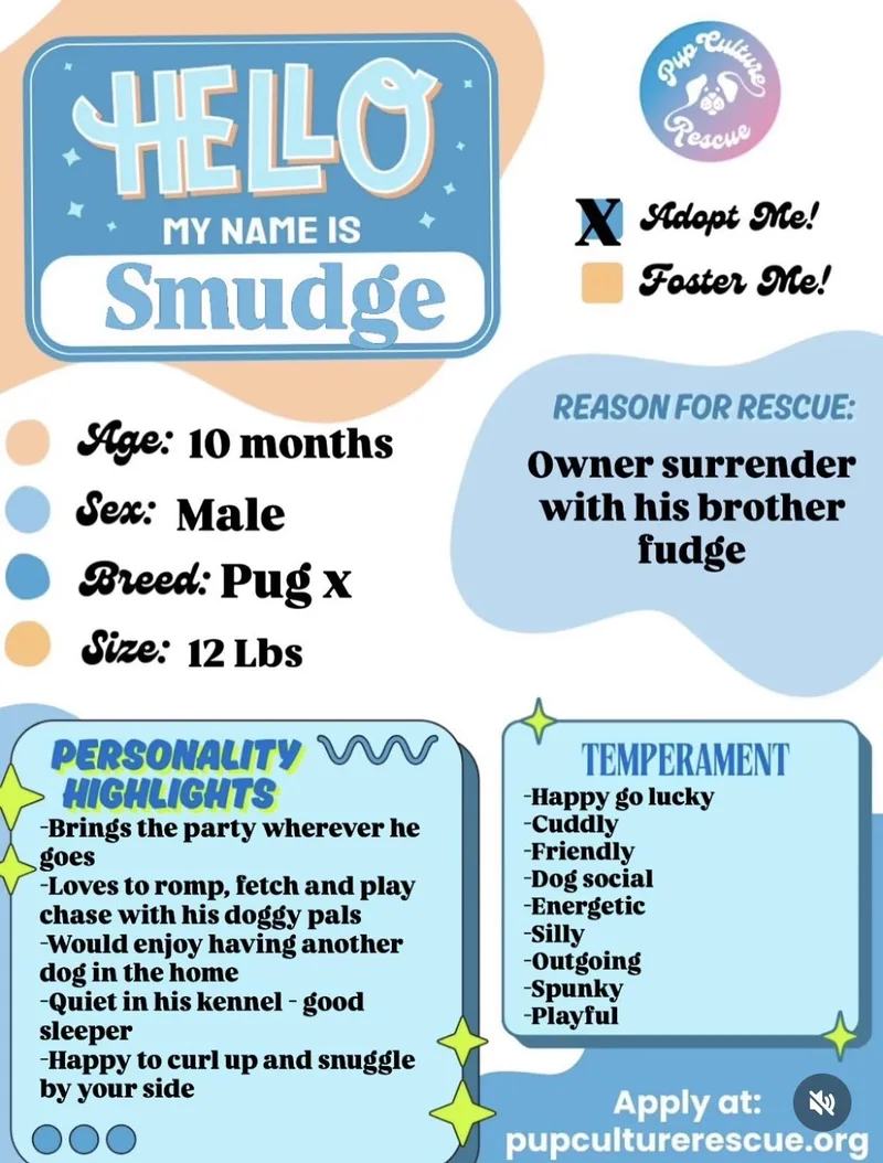 Smudge thumbnail 4
