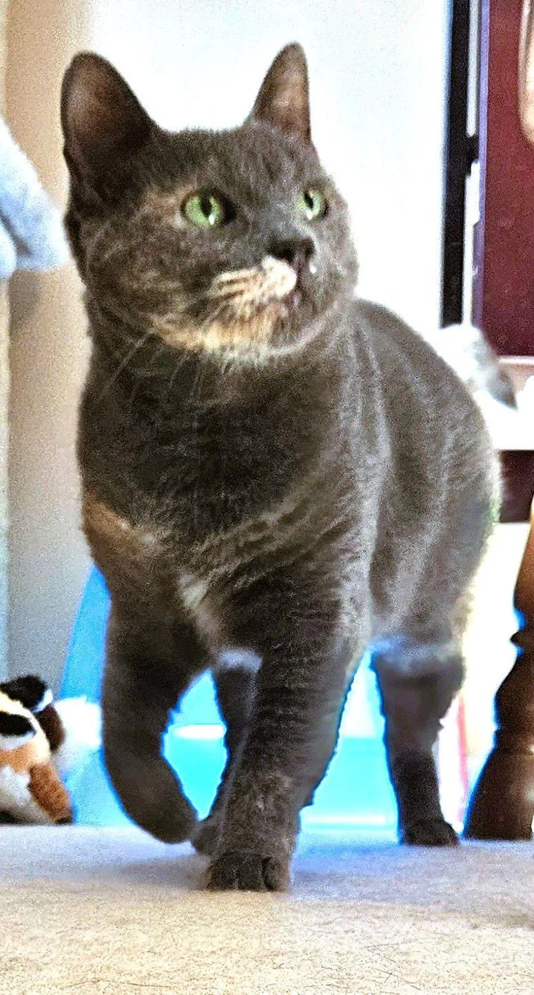 Lil Girl thumbnail 2