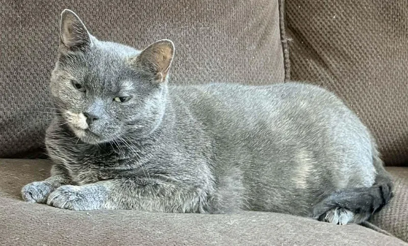 Lil Girl thumbnail 3