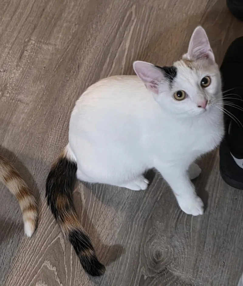 Earthshine thumbnail 4