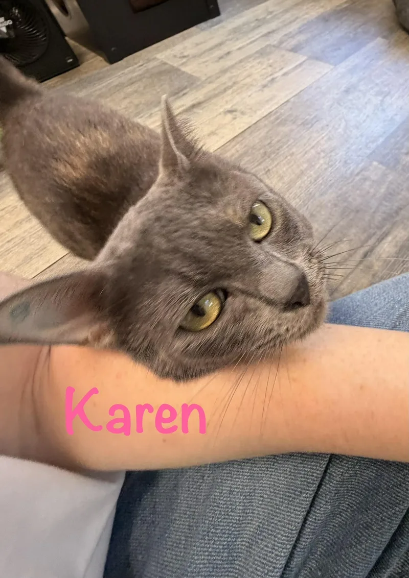 Karen thumbnail 2