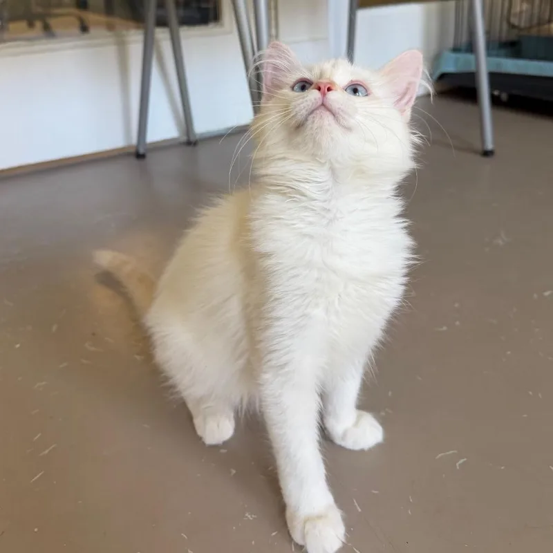 Murray thumbnail 3