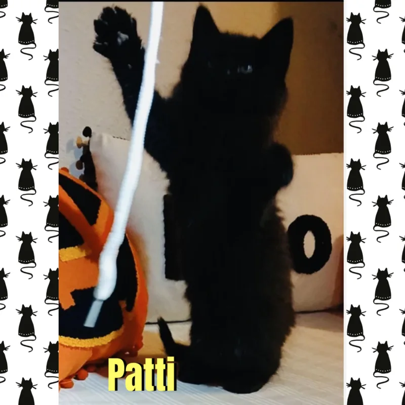 Patti thumbnail 2