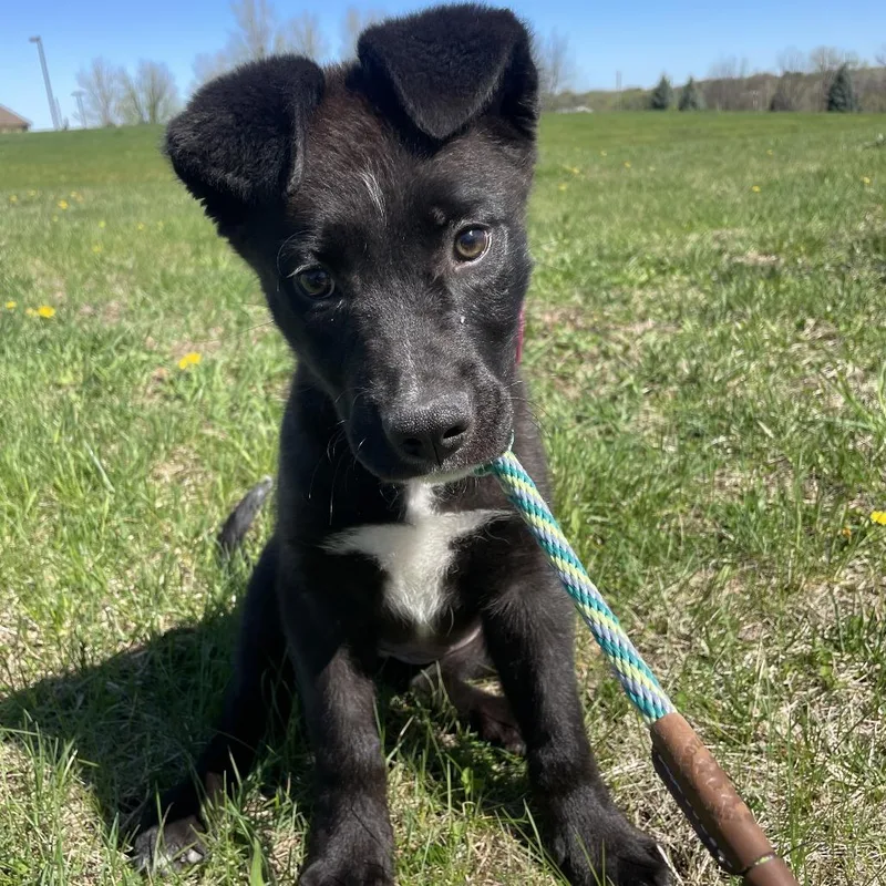 Lil Miss thumbnail 2