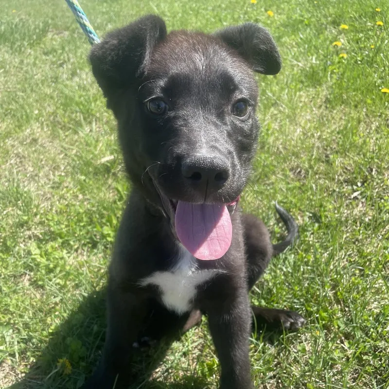 Lil Miss thumbnail 3