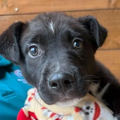 Lil Miss thumbnail 4