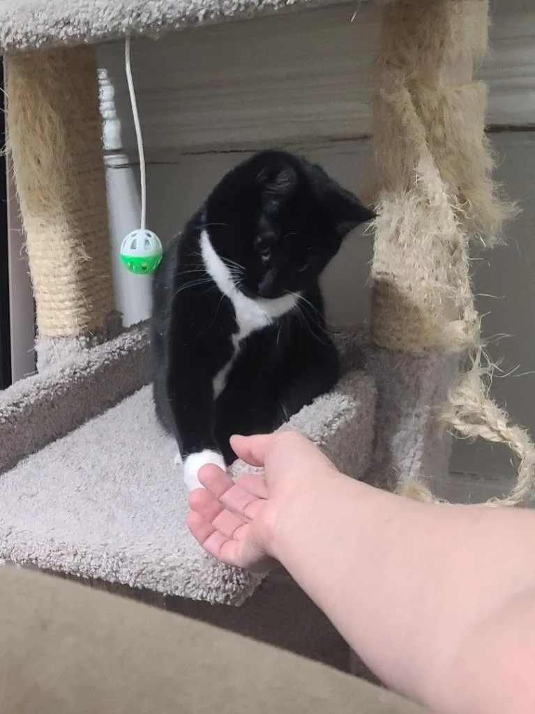 Johnnie Mae  Salsa thumbnail 6