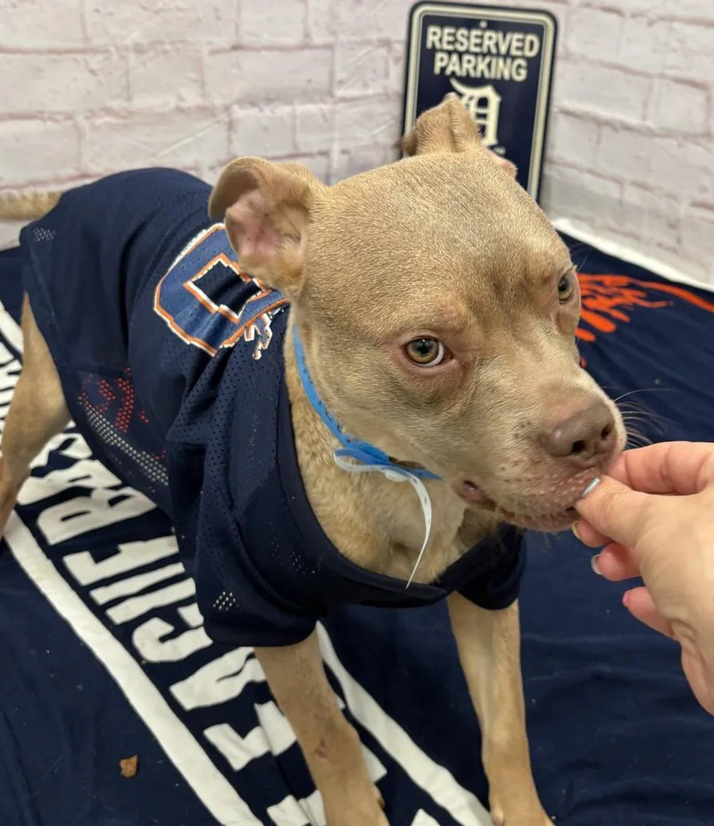 West Coast thumbnail 2