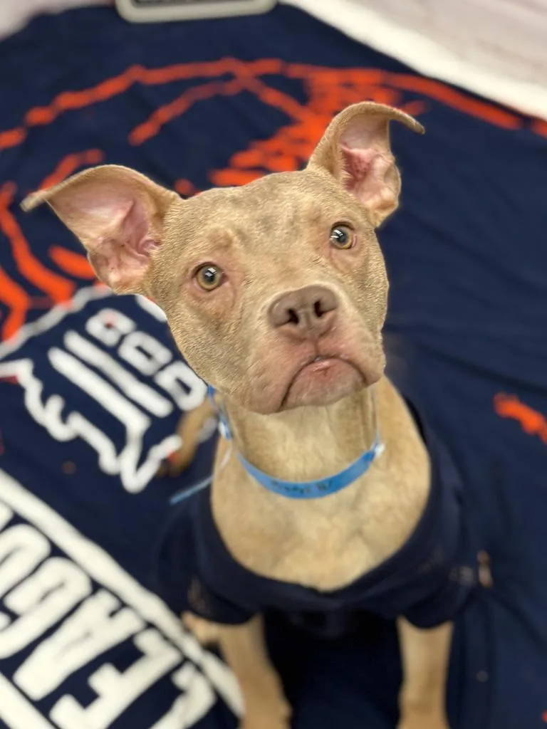 West Coast thumbnail 3