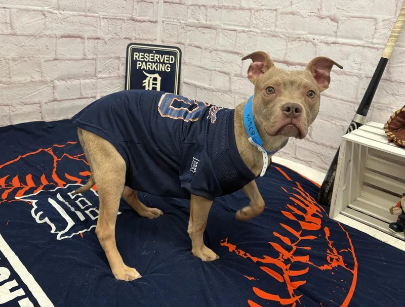 West Coast thumbnail 4