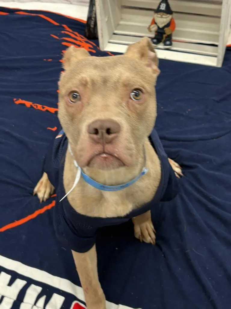 West Coast thumbnail 5