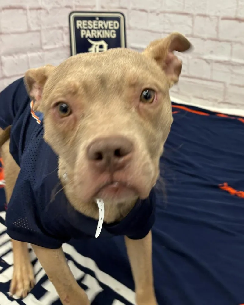 West Coast thumbnail 6