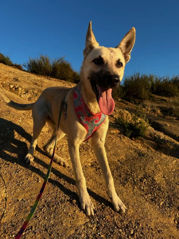 Ella  Located In thumbnail 2