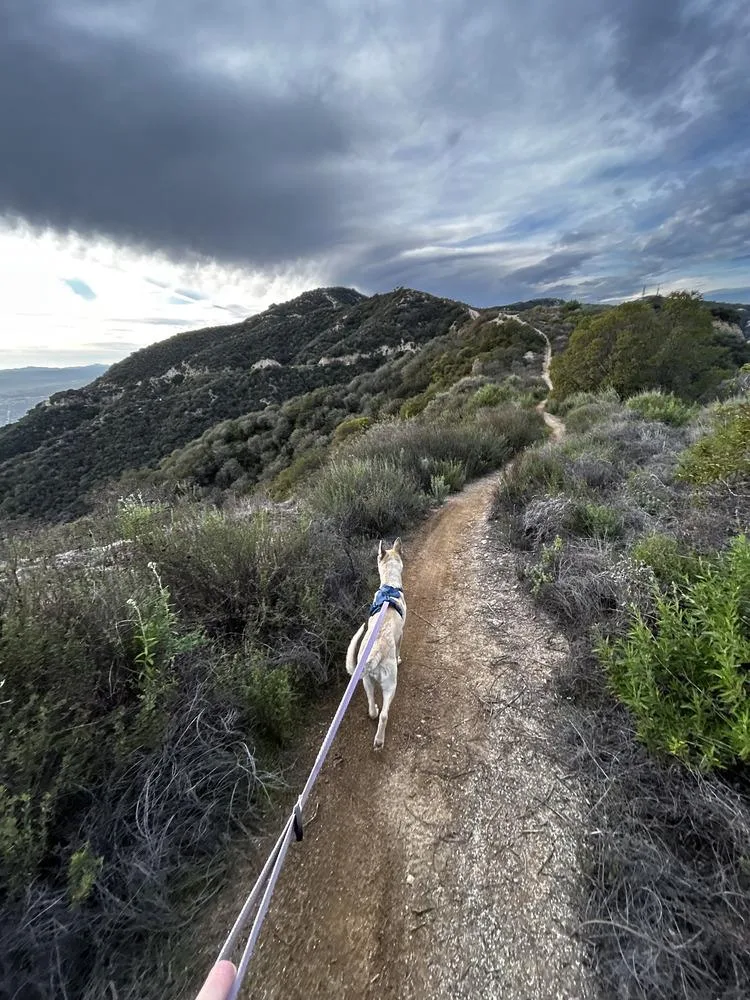 Ella  Located In thumbnail 3