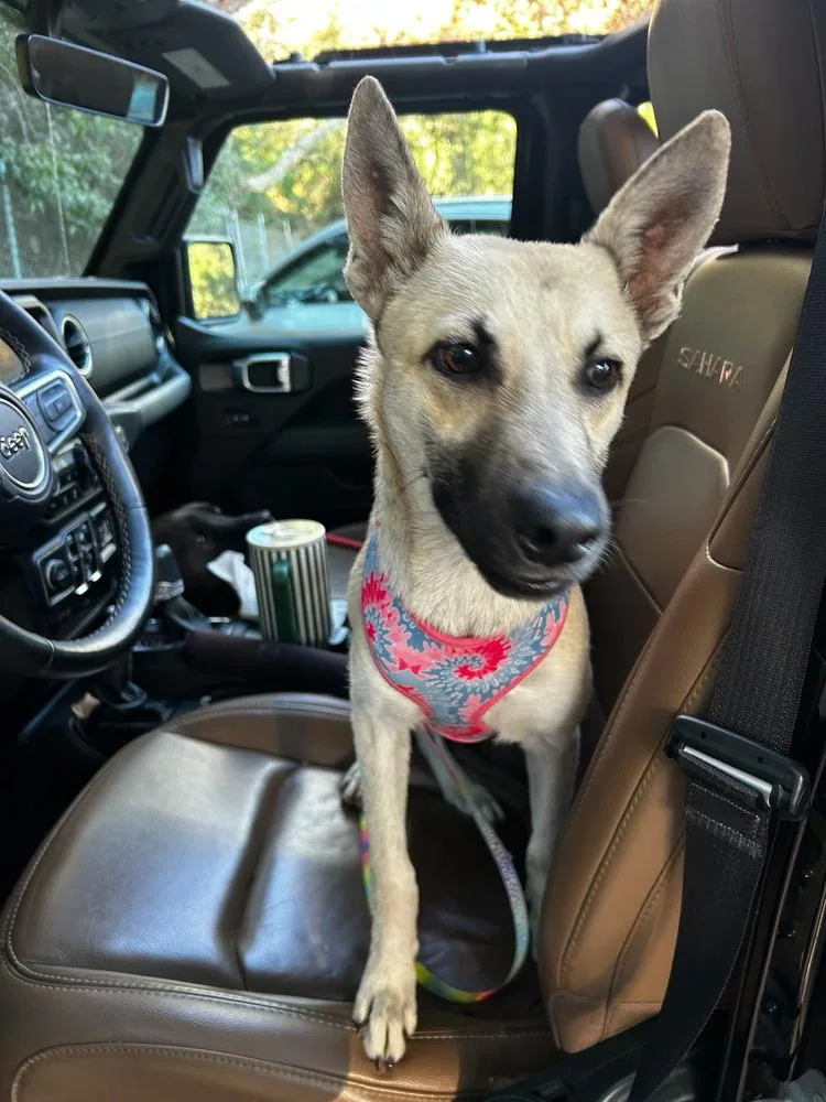 Ella  Located In thumbnail 4