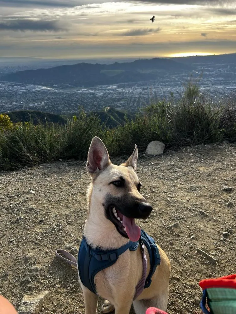 Ella  Located In thumbnail 6