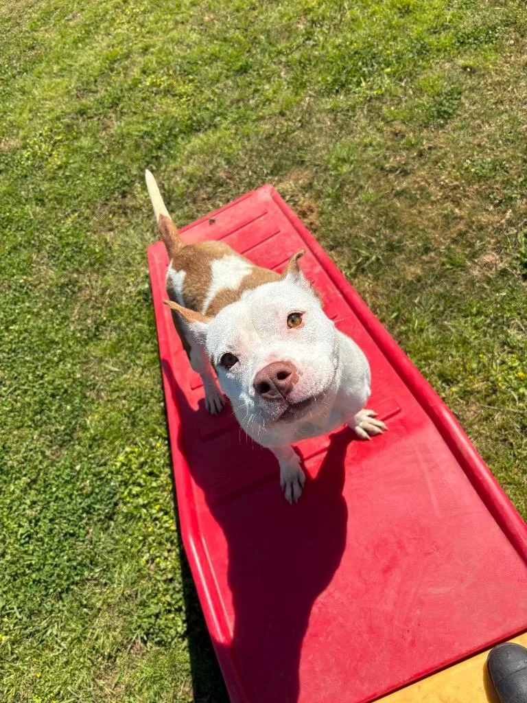 Sally thumbnail 6