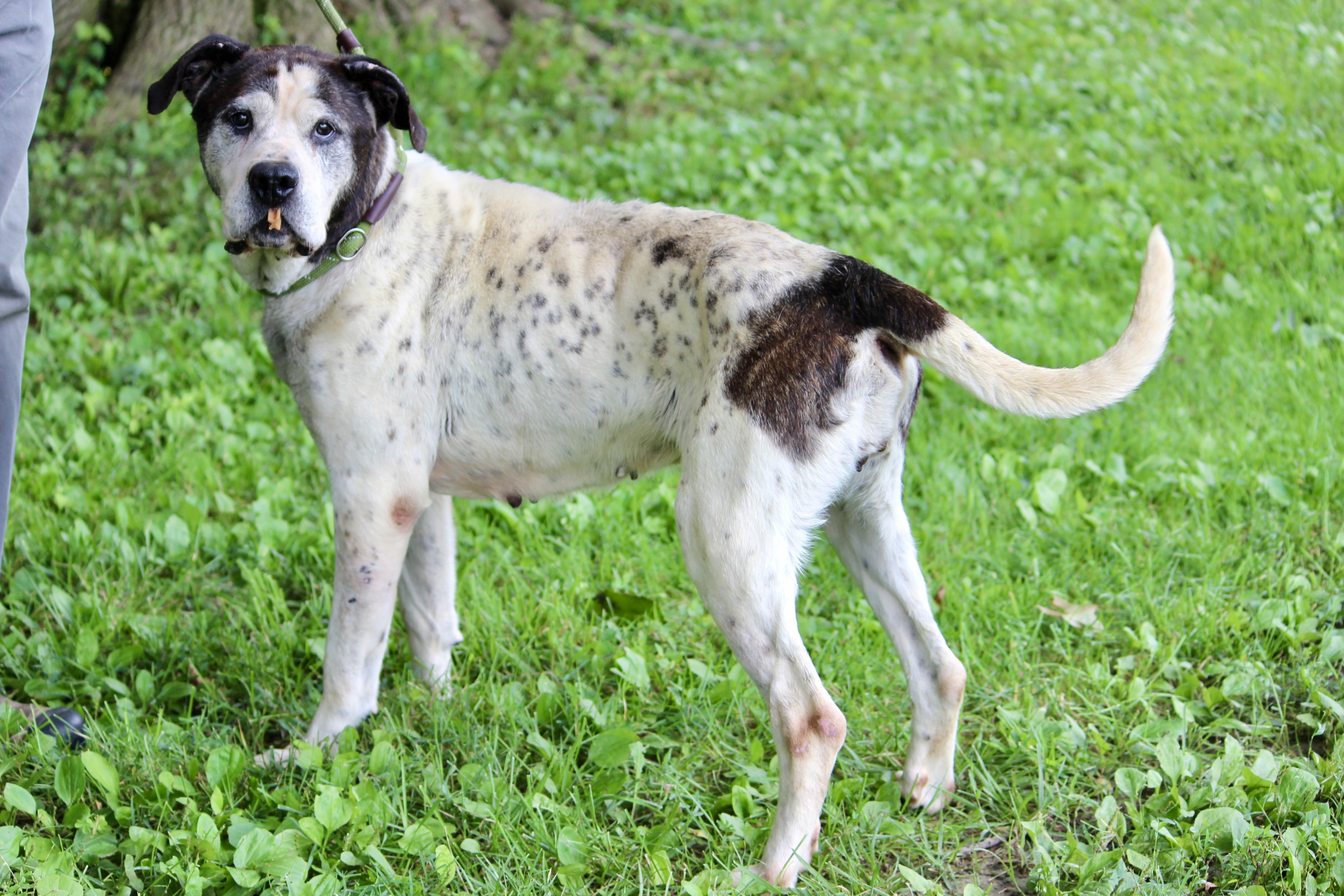 Princess thumbnail 2