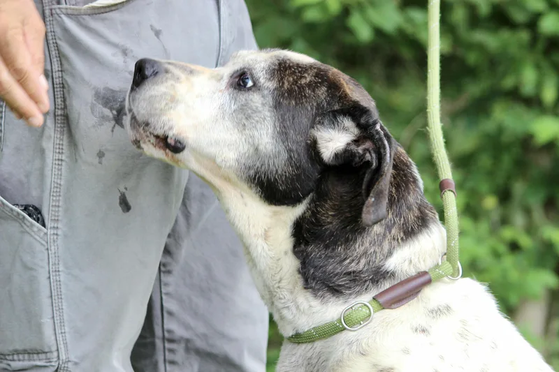 Princess thumbnail 3