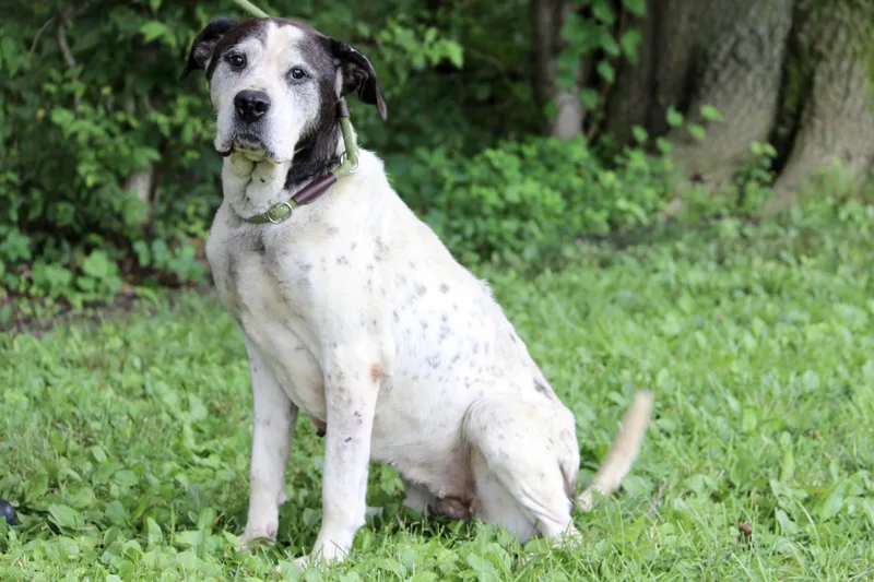 Princess thumbnail 5