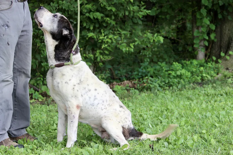 Princess thumbnail 6