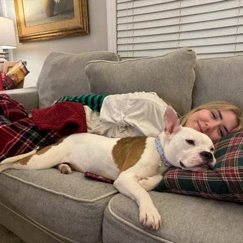 An adult medium-sized female White / Cream Mixed Breed dog named Lola for adoption in Newark, NJ