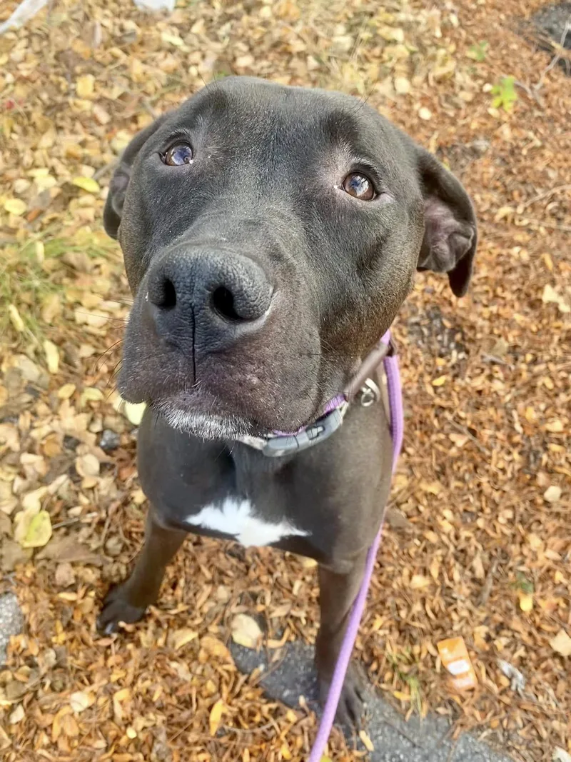 Jj Needs A Forever thumbnail 2