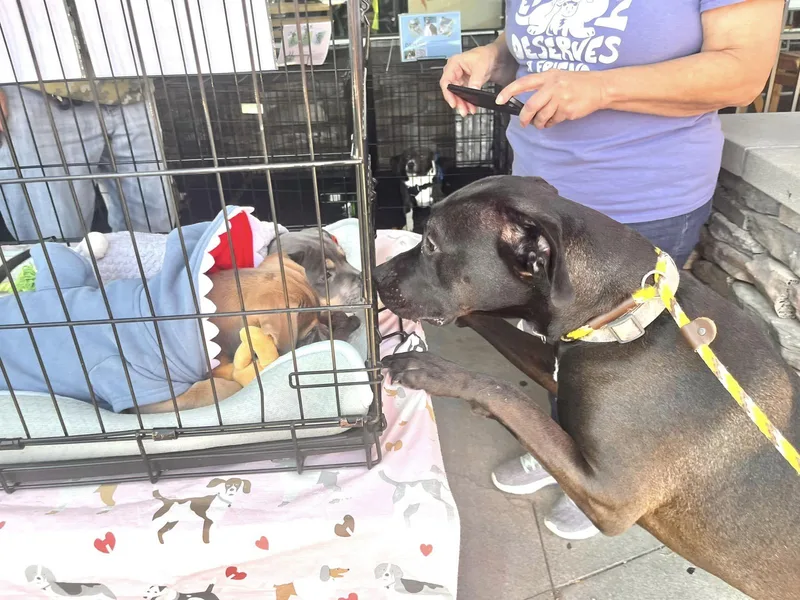 Jj Needs A Forever thumbnail 3