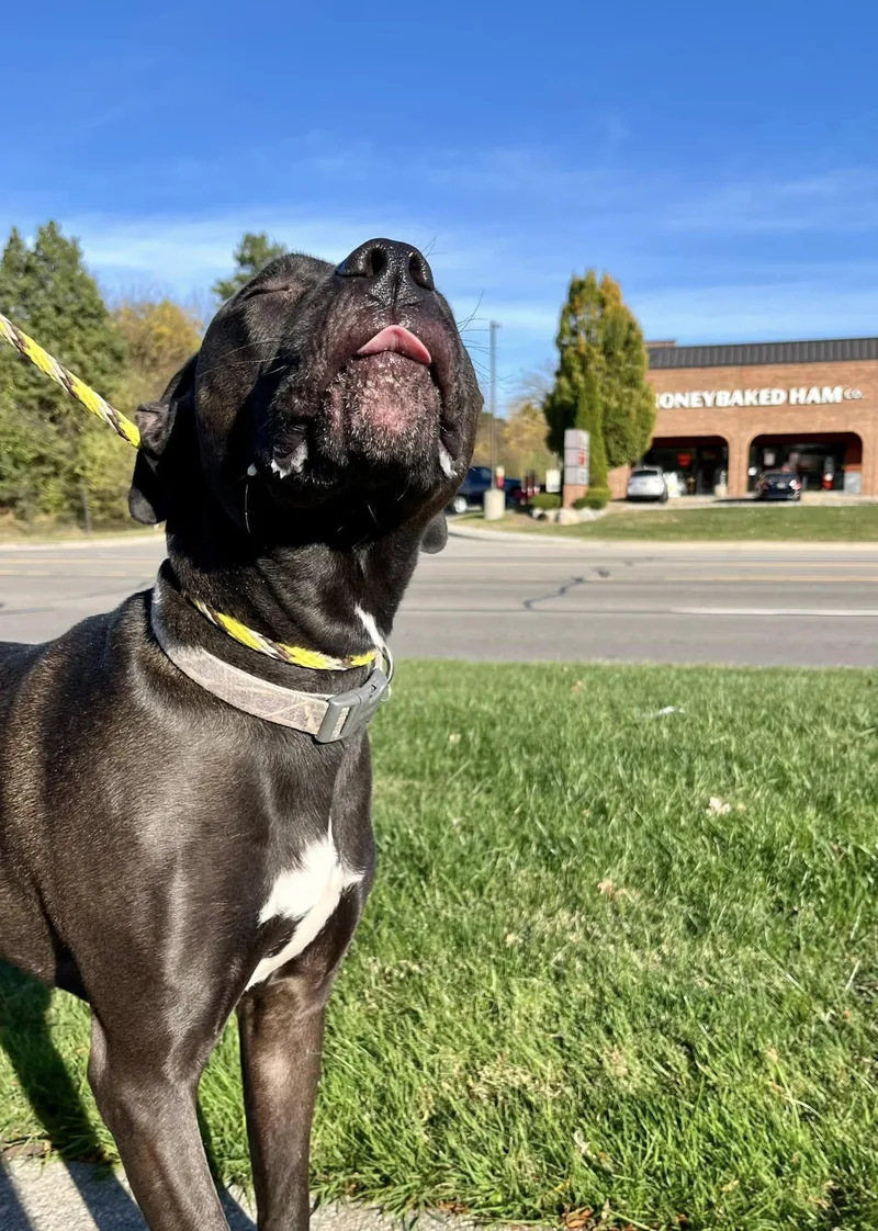 Jj Needs A Forever thumbnail 4