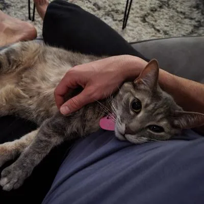 Luna thumbnail 2