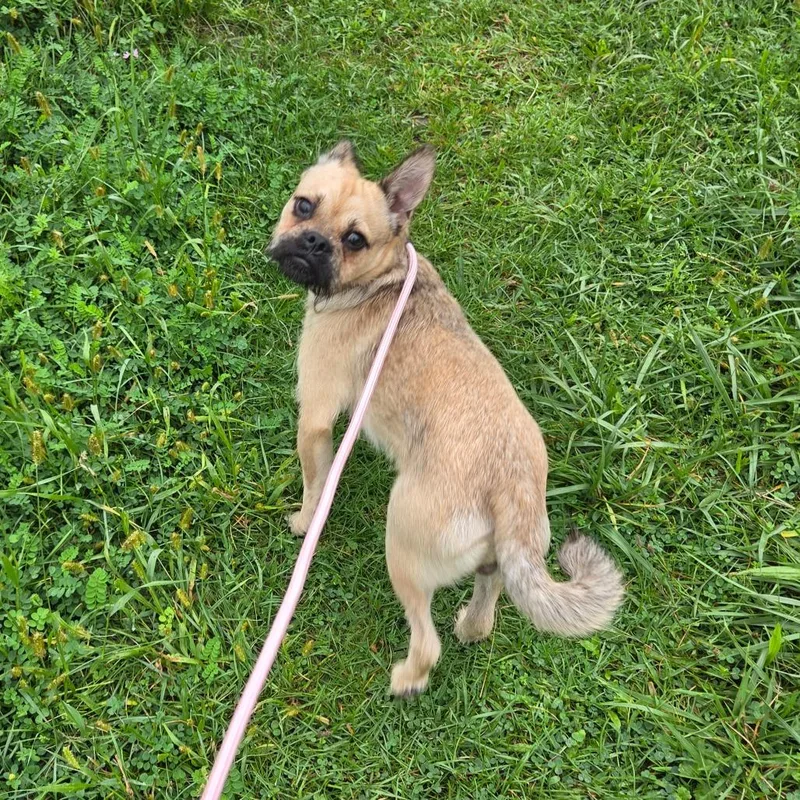 Sam